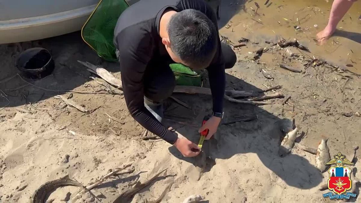 В Республике Саха (Якутия) в суд направлено уголовное дело о незаконном вылове Сибирского осетра на сумму порядка 1,5 миллиона рублей