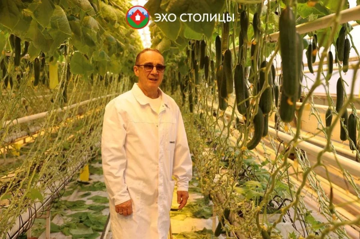 Один день в «Саюри»: как в Якутске круглый год выращивают овощи Один день в «Саюри»: как в Якутске круглый год выращивают овощи