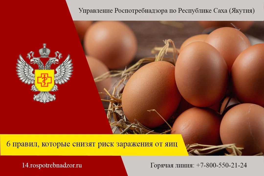 Всемирный день яйца появился в 1996 году — его учредили в Вене