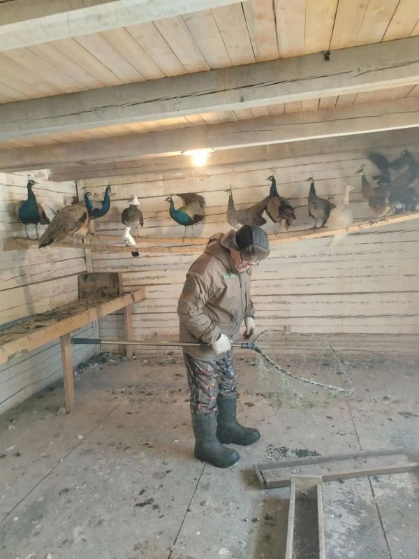С приходом осени природа меняет свой наряд, и вместе с ней меняется жизнь обитателей нашего любимого природного парка «Живые алмазы Якутии» в местности Чуоналыр г. Мирный. В это время года особенно важно уделить внимание... С приходом осени природа меняет свой наряд, и вместе с ней меняется жизнь обитателей нашего любимого природного парка «Живые алмазы Якутии» в местности Чуоналыр г. Мирный. В это время года особенно важно уделить внимание...