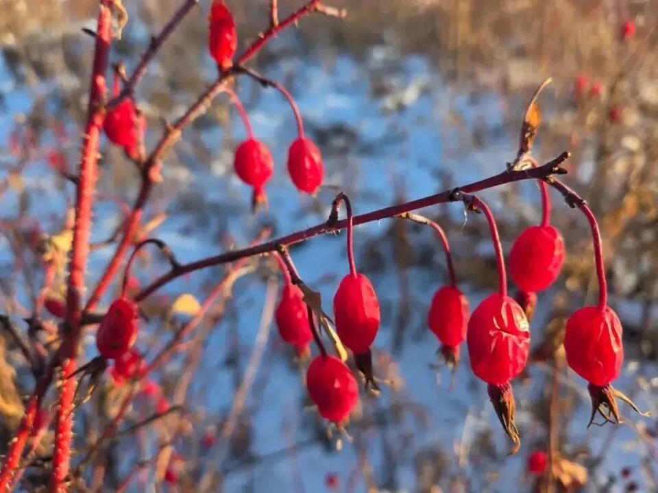 Сэтинньи уонна ахсынньы ыйдар сылаас туруохтара: Тускул тугу билгэлиир?