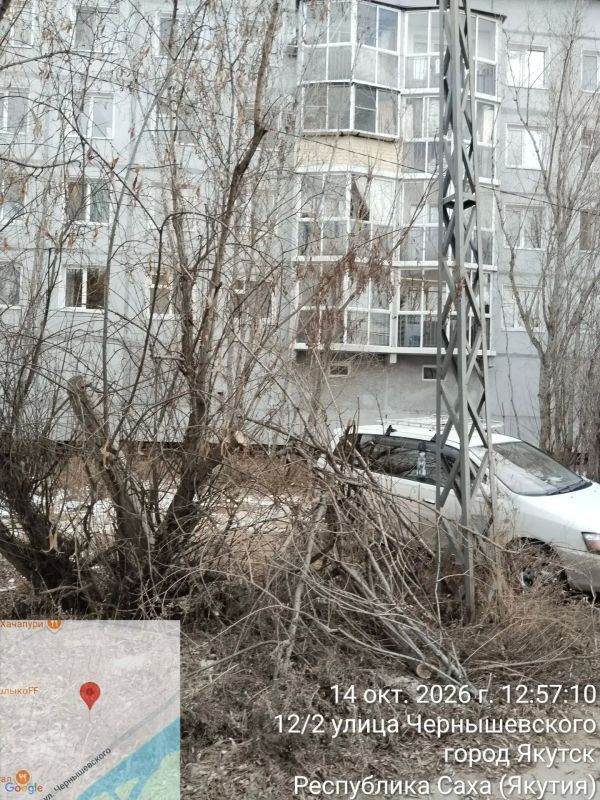 Управа спилила сухостои, представлявшие опасность для жителей и детей Управа спилила сухостои, представлявшие опасность для жителей и детей