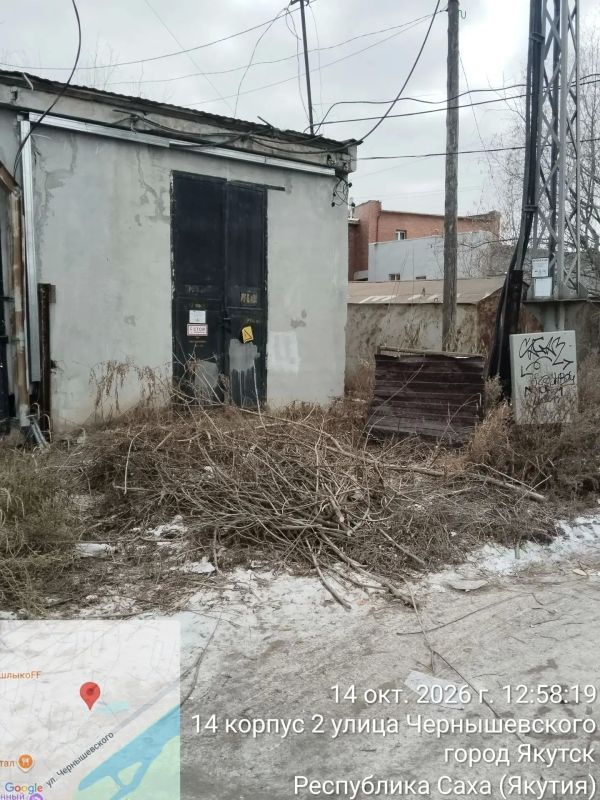 Управа спилила сухостои, представлявшие опасность для жителей и детей Управа спилила сухостои, представлявшие опасность для жителей и детей