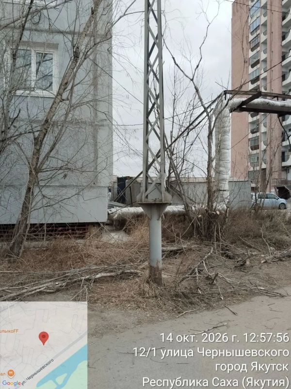 Управа спилила сухостои, представлявшие опасность для жителей и детей Управа спилила сухостои, представлявшие опасность для жителей и детей