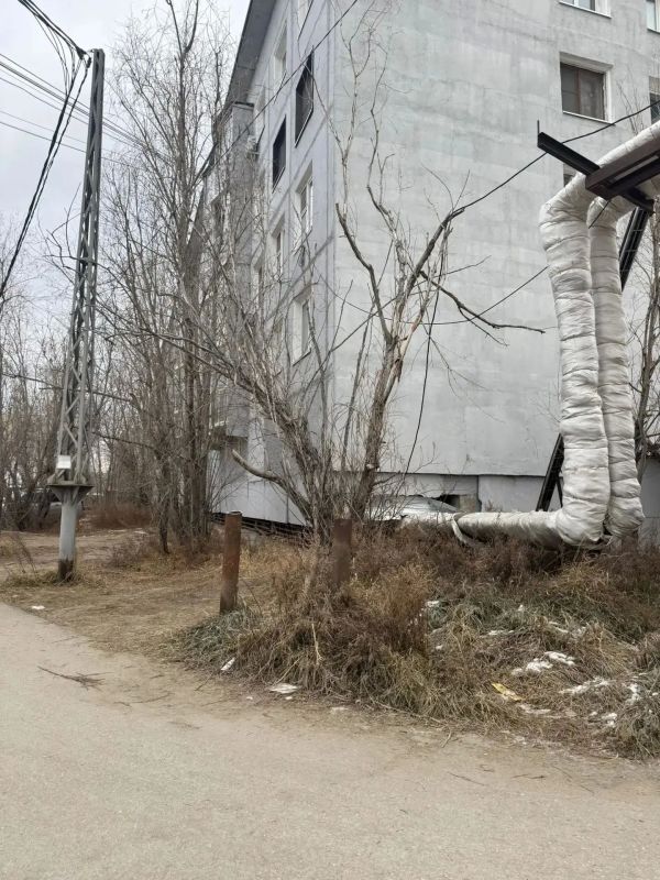 Управа спилила сухостои, представлявшие опасность для жителей и детей Управа спилила сухостои, представлявшие опасность для жителей и детей