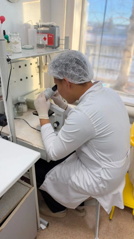 Будущее ветеринарии в надежных руках! Будущее ветеринарии в надежных руках!