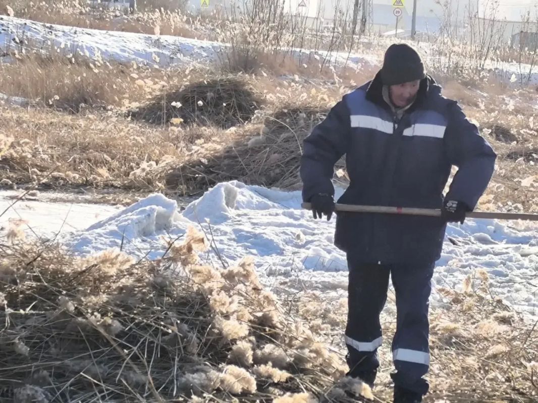 Борьба с камышом продолжается в Гагаринском округе! Борьба с камышом продолжается в Гагаринском округе!