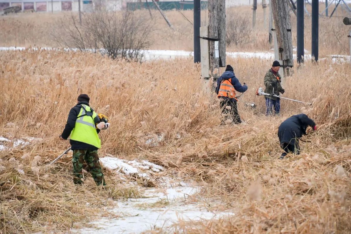 В Якутске меценатов призвали помочь в расчистке городских озёр от камыша