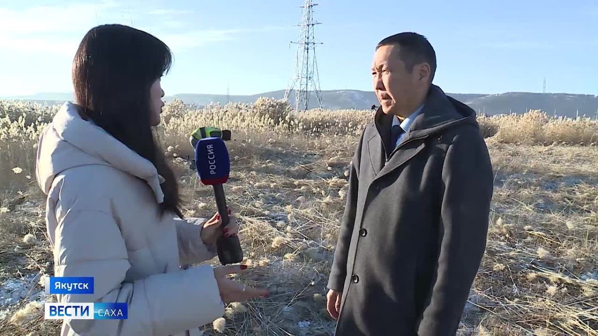 В Якутске берега озёр начали очищать от камышей