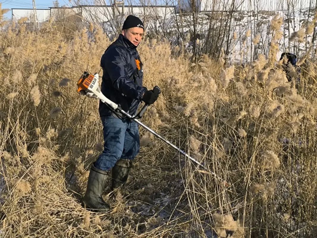 Борьба с камышом продолжается в Гагаринском округе!