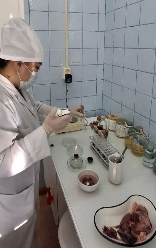 В селе Никольцы Намского улуса начал работу убойный цех