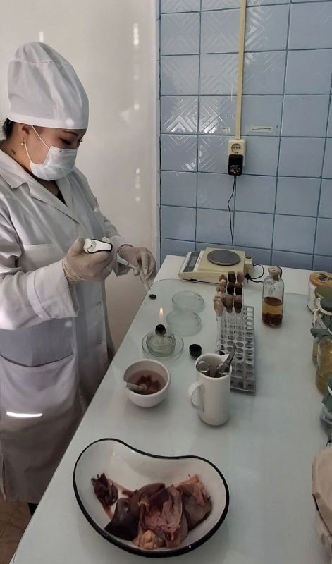 В селе Никольцы Намского улуса начал работу убойный цех В селе Никольцы Намского улуса начал работу убойный цех