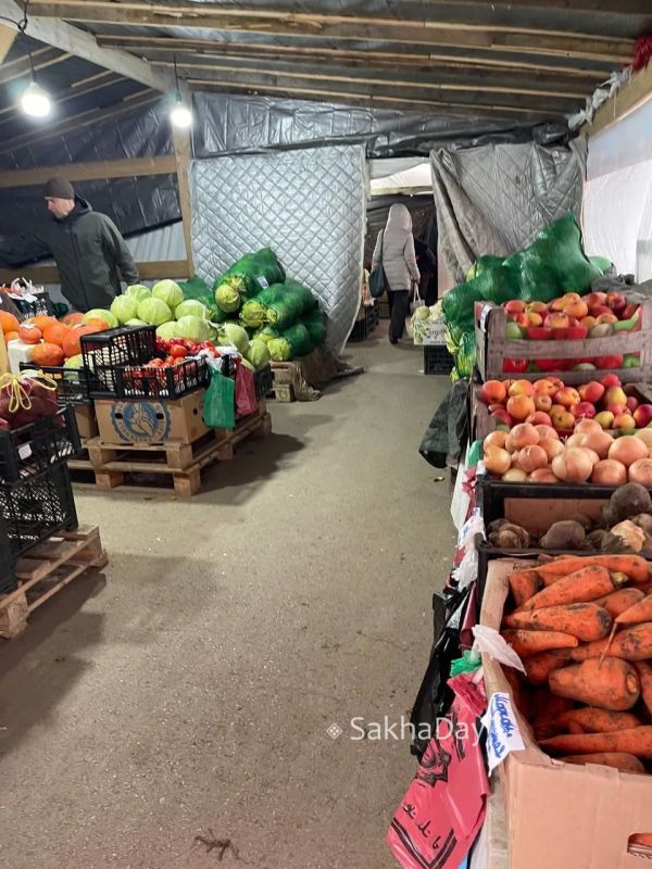 Продавцы овощей утеплились #отподписчиков Продавцы овощей утеплились #отподписчиков