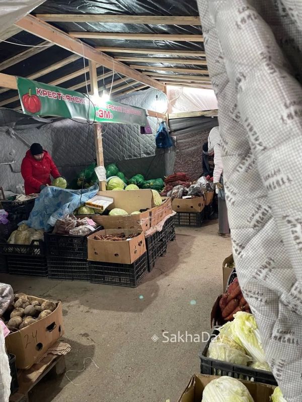 Продавцы овощей утеплились #отподписчиков Продавцы овощей утеплились #отподписчиков