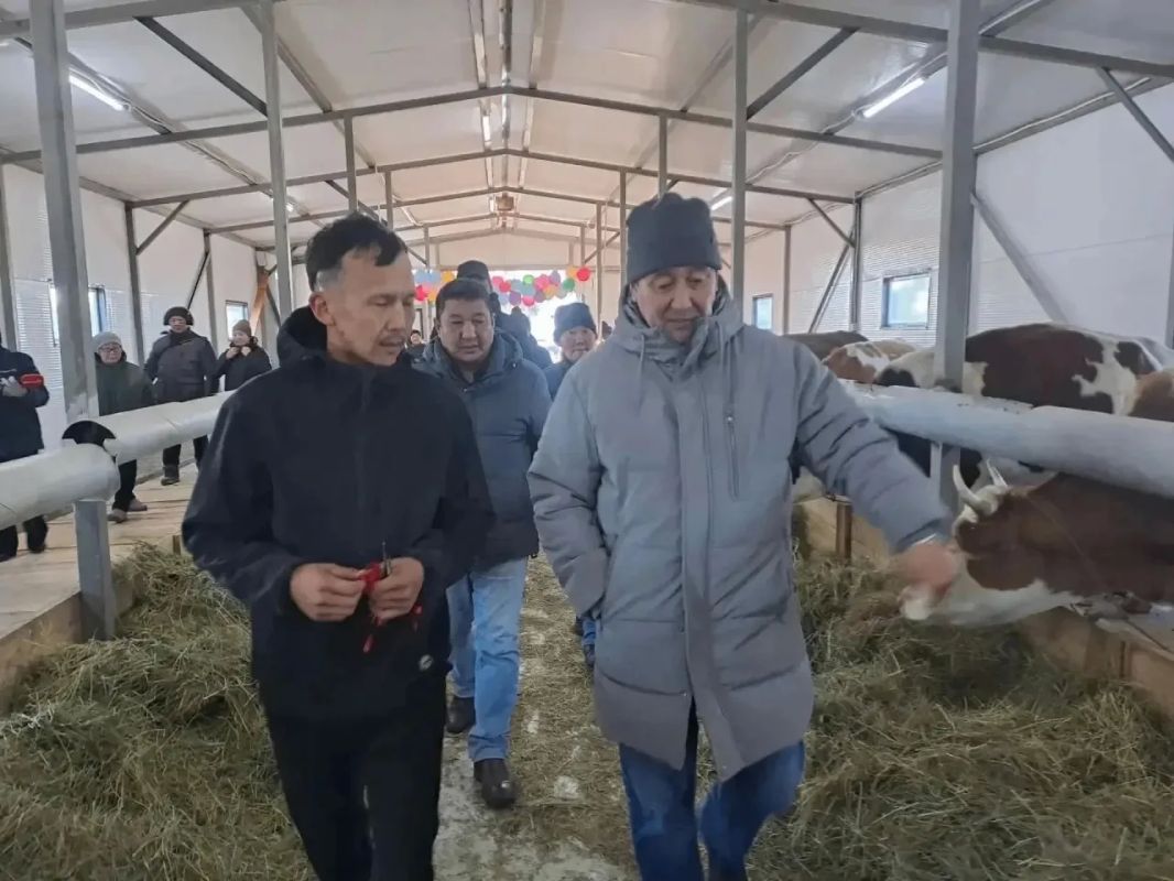 Ил Тмэн тыа сиригэр уонна аграрнай бэлиитикээ сис кэмитиэтин бэрэссэдээтэлэ Александр Атласов Нам улууугар саа хотон тутуллан лээ киириитин тэрээинигэр кыттыыны ылла