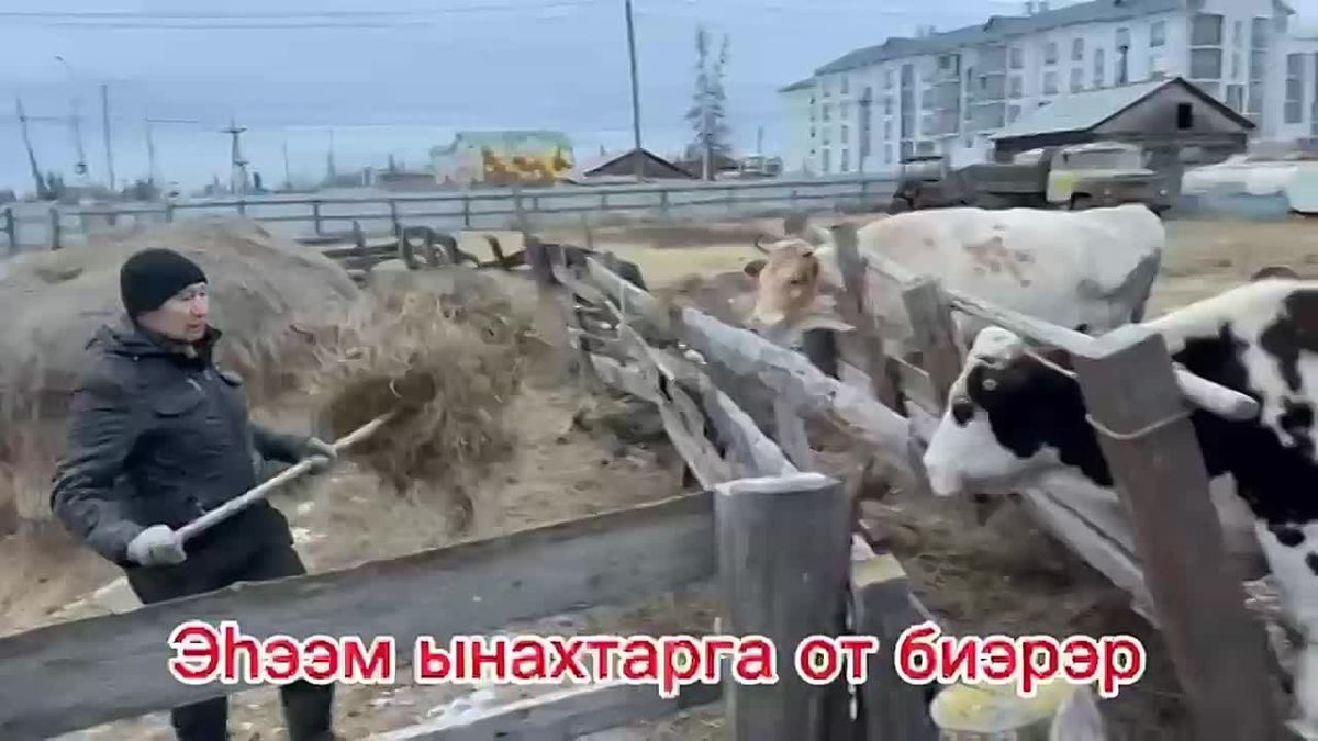 #Тыаыалынолоо. #Тртдьарыкпыт "Туллукчаан" ууйаан орто блн иитиллээччитэ Коля Саввинов рбл кннэргэ ээтин кэтэх хааайыстыбатыгар ыалдьыттаан дьиктилээх арыйыылары оордо