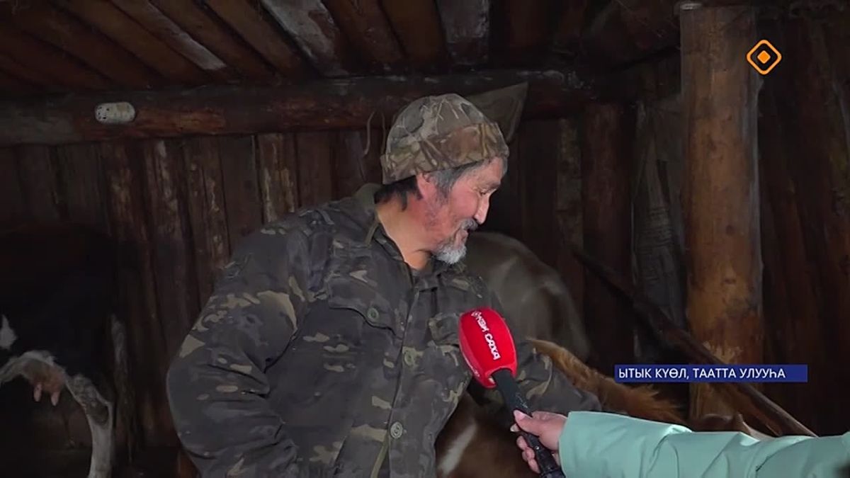 Дьиэ кыылларын учуоттааын уонна маркировкалааын — билии кэм ирдэбилэ