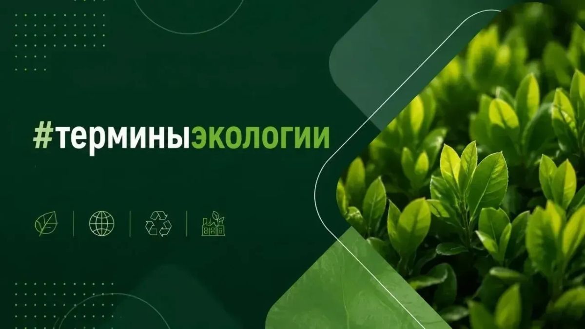 #терминыэкологии. БИОГЕОЦЕНОЗ (от греч