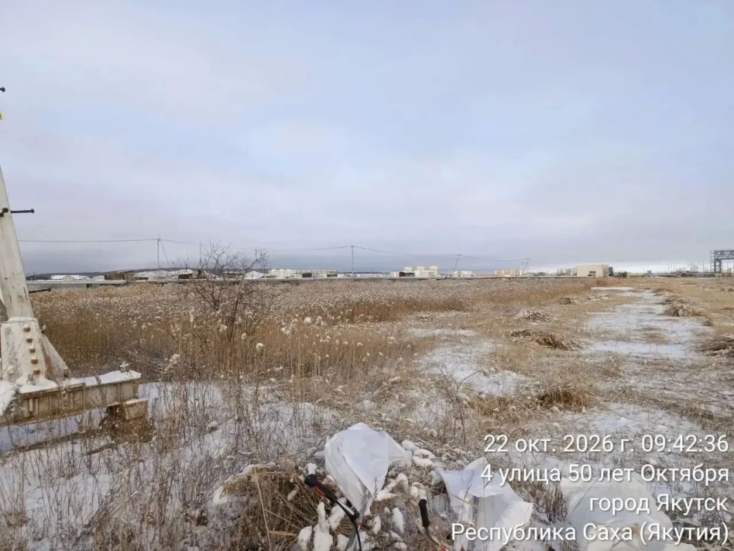 Скос продолжается!. . Силами сотрудников Управы Гагаринского округа продолжается скос камыша вдоль Автострады 50 лет Октября от кольцевой развязки в сторону Парка Победы Скос продолжается!. . Силами сотрудников Управы Гагаринского округа продолжается скос камыша вдоль Автострады 50 лет Октября от кольцевой развязки в сторону Парка Победы