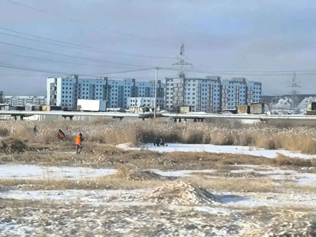 Скос продолжается!. . Силами сотрудников Управы Гагаринского округа продолжается скос камыша вдоль Автострады 50 лет Октября от кольцевой развязки в сторону Парка Победы Скос продолжается!. . Силами сотрудников Управы Гагаринского округа продолжается скос камыша вдоль Автострады 50 лет Октября от кольцевой развязки в сторону Парка Победы