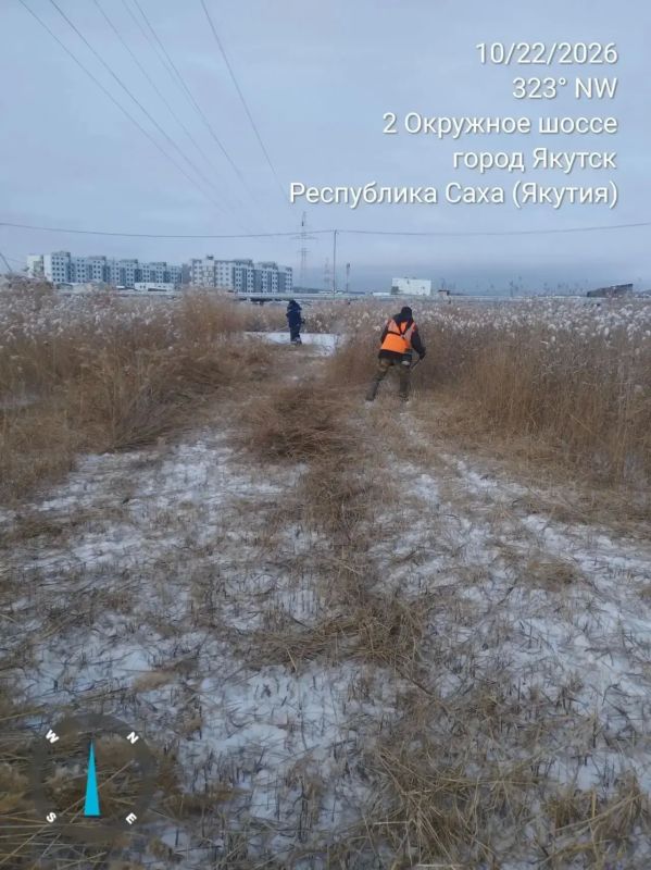Скос продолжается!. . Силами сотрудников Управы Гагаринского округа продолжается скос камыша вдоль Автострады 50 лет Октября от кольцевой развязки в сторону Парка Победы Скос продолжается!. . Силами сотрудников Управы Гагаринского округа продолжается скос камыша вдоль Автострады 50 лет Октября от кольцевой развязки в сторону Парка Победы
