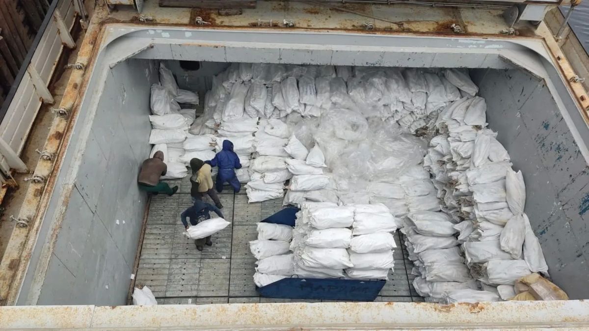 В Якутск за навигацию доставлено более 500 тонн промысловой рыбы В Якутск за навигацию доставлено более 500 тонн промысловой рыбы