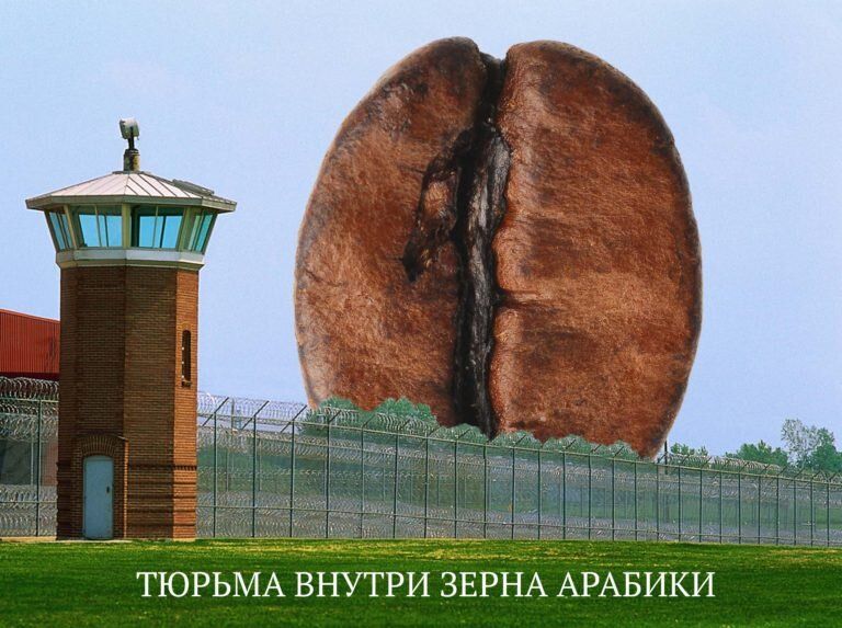 Как кофе раскрывает свои секреты: мастерство экстракции в каждой чашке