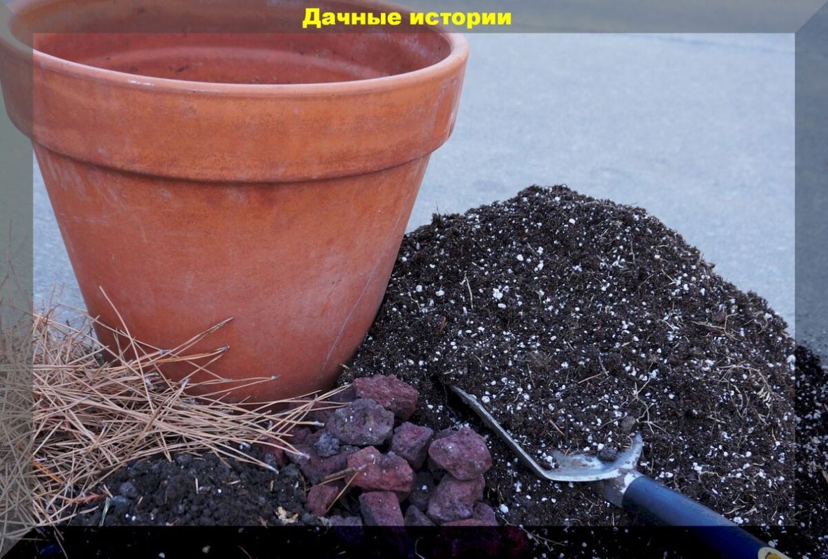 Как самостоятельно создать идеальный грунт для рассады: советы и рецепты