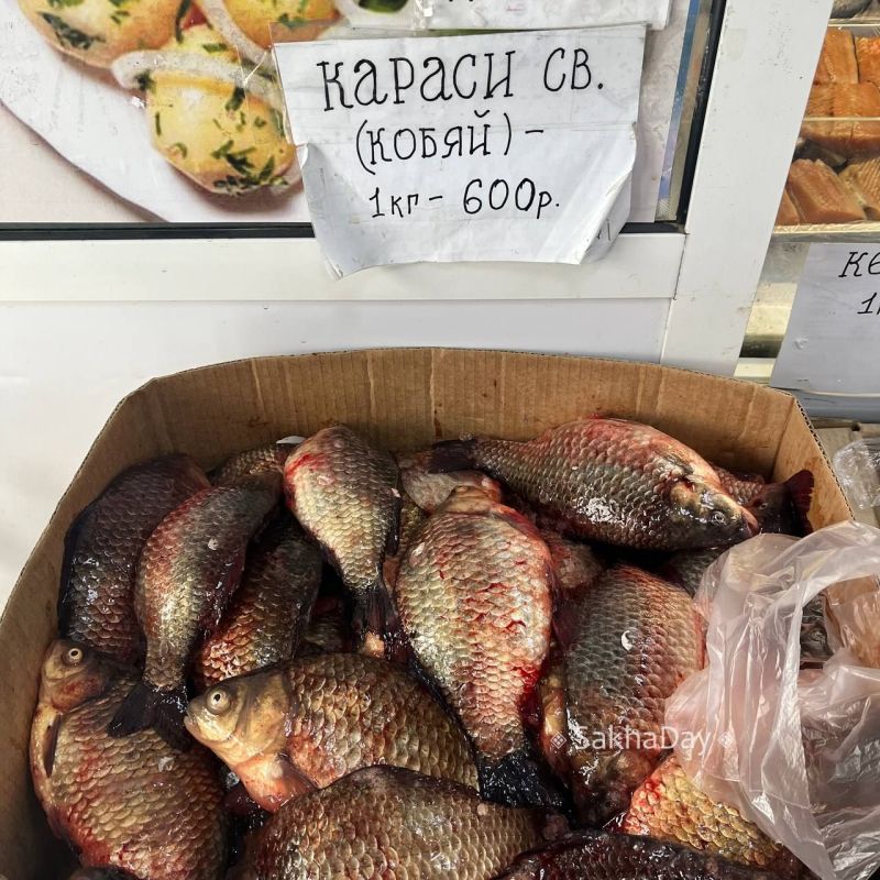Цены на рыбу на рынке "Белое озеро" Цены на рыбу на рынке "Белое озеро"