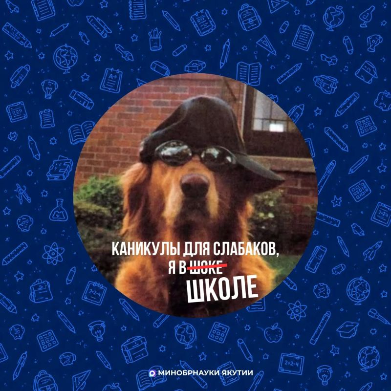 У кого каникулы, а у кого - подготовка ко второй четверти