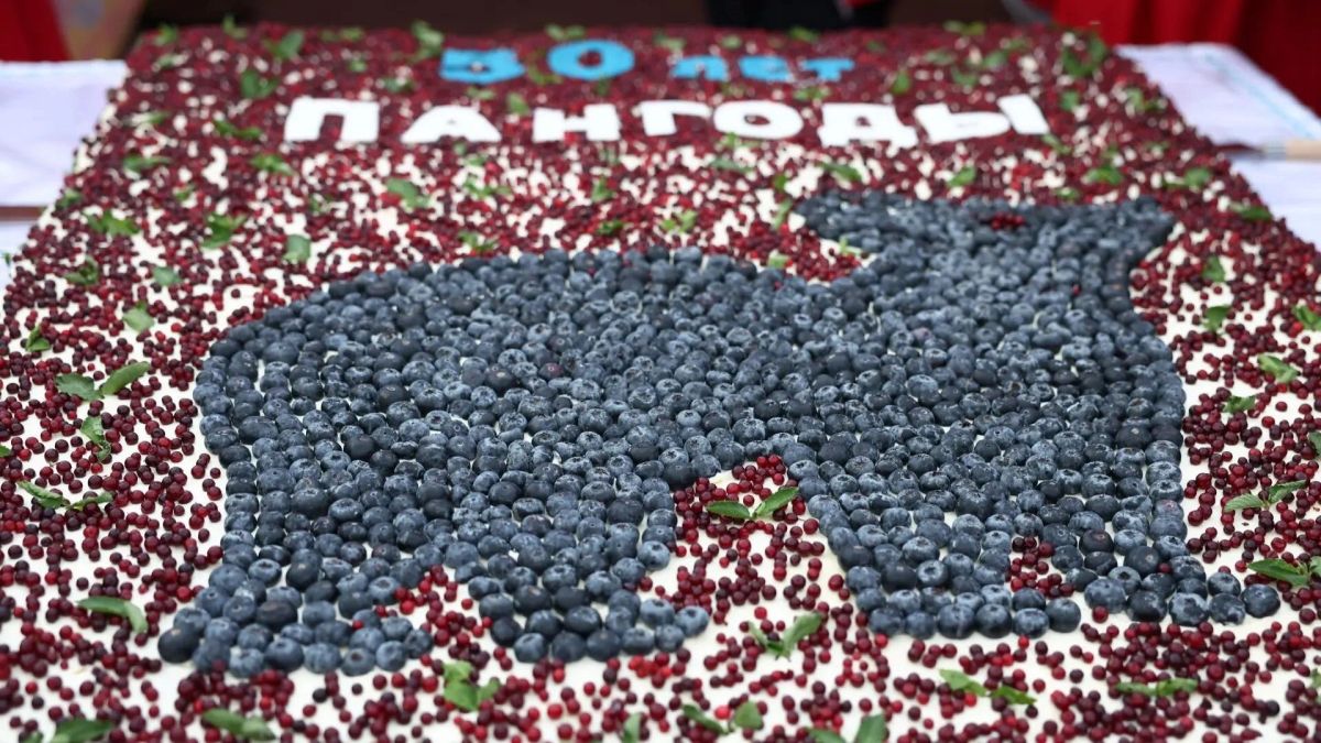 Ягодное угощение на 100 килограммов стало звездой юбилея Пангоды