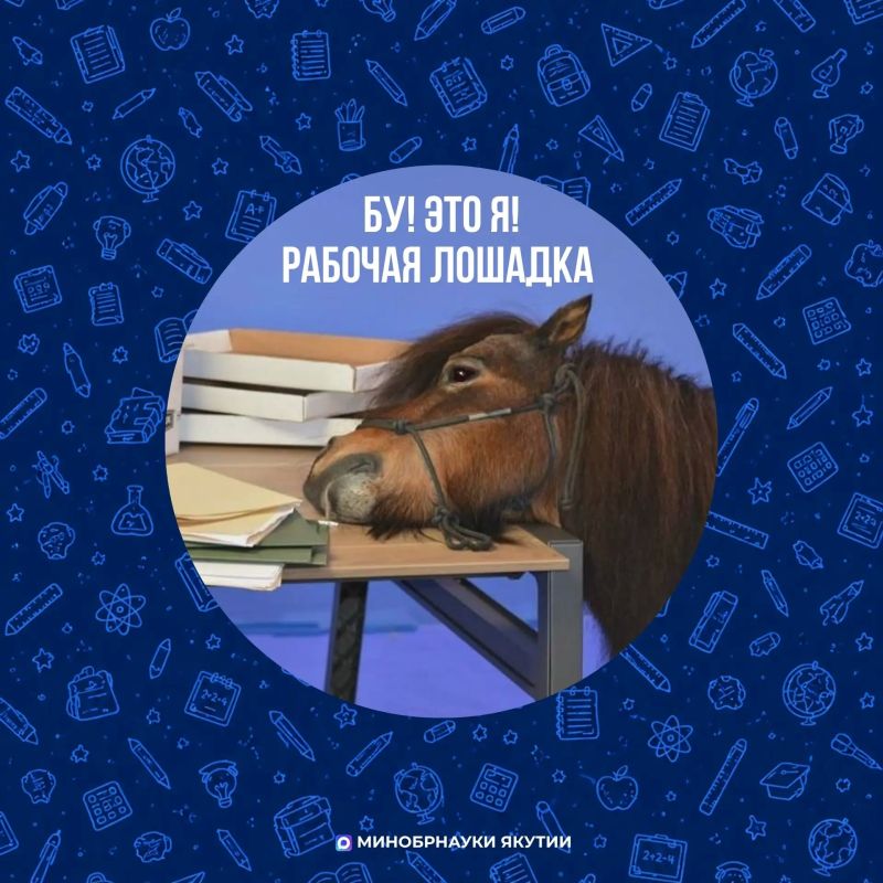 У кого каникулы, а у кого - подготовка ко второй четверти У кого каникулы, а у кого - подготовка ко второй четверти