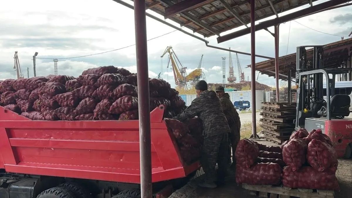АО «Арктическая торгово-логистическая компания» завершило навигационную кампанию 2026 года АО «Арктическая торгово-логистическая компания» завершило навигационную кампанию 2026 года