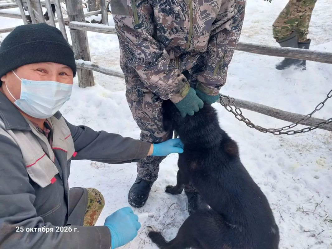 В селе Кептин проведена вакцинация собак против бешенства В селе Кептин проведена вакцинация собак против бешенства
