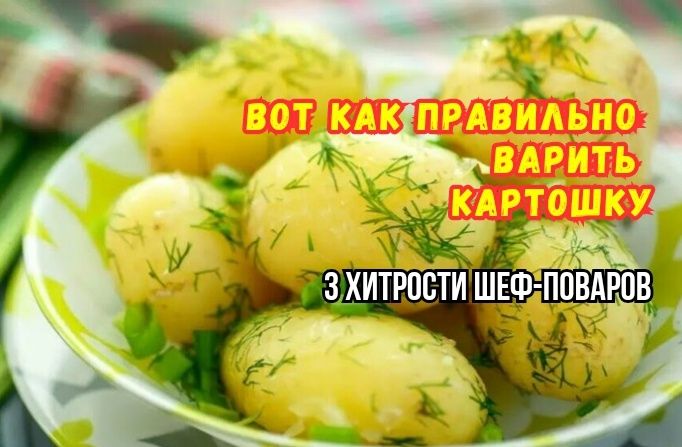 Как не испортить картошку: 3 главные ошибки при варке и советы шеф-поваров