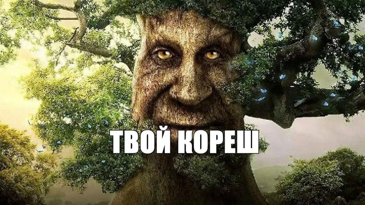 У жителя Якутии в глазу чуть не выросло дерево — семечко закатилось под веко, когда он гулял по лесу, и пустило корни.