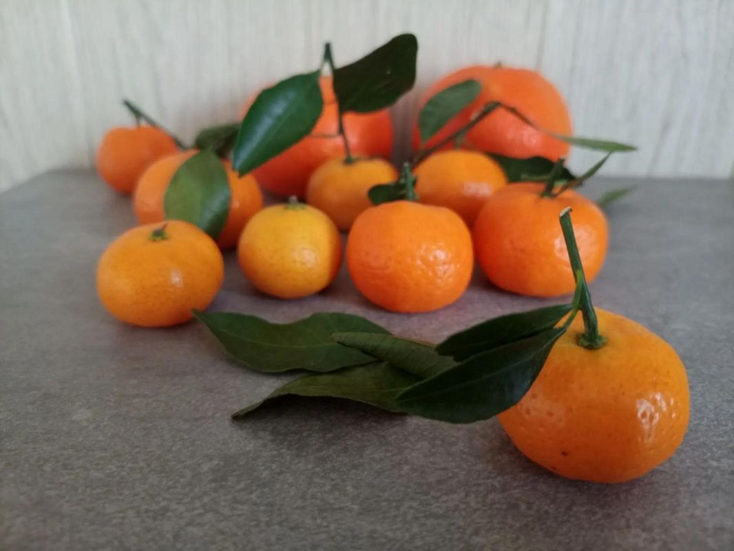 Мандариновый сезон в Оренбуржье: где купить цитрусы дешевле
