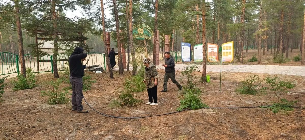 #ЗеленыйЧетверг: оазис в сосновом краю #ЗеленыйЧетверг: оазис в сосновом краю