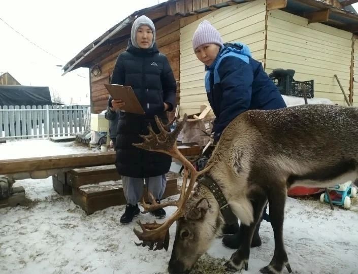 Ветеринарные специалисты Мирнинского района провели выездной приём в посёлках Светлый и Сюльдюкар Ветеринарные специалисты Мирнинского района провели выездной приём в посёлках Светлый и Сюльдюкар